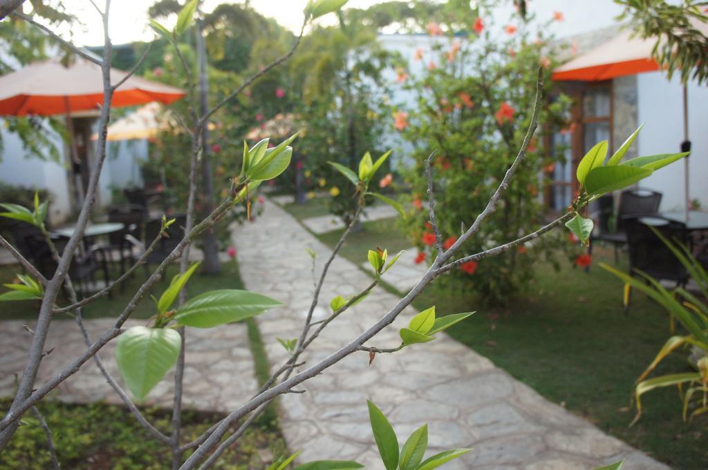 Acacia Tree Garden Hotel 3*