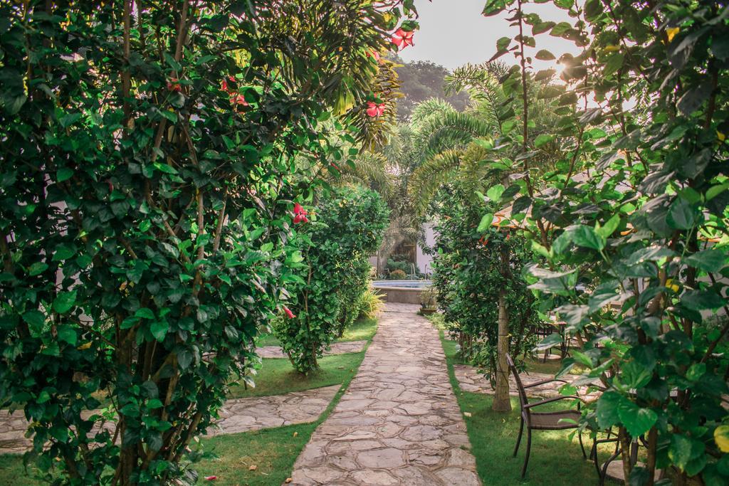 Acacia Tree Garden Hotel