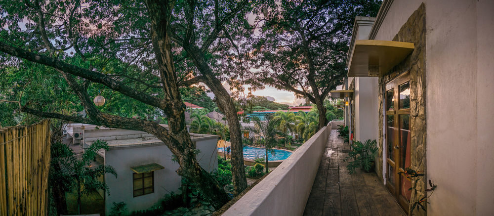 Hotel Acacia Tree Garden 3*